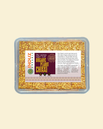 Delicious Peanut Chikki - 500 Gm | Buy Now!