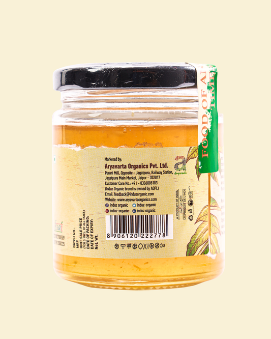 Delicious Mango Jam - 250gm - Buy Now!