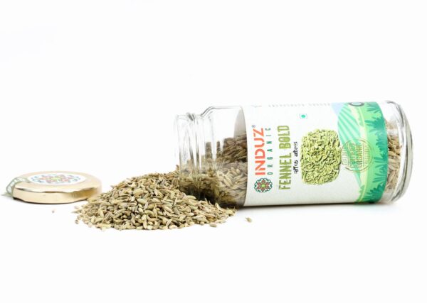 FENNEL BOLD 100 GM (2)