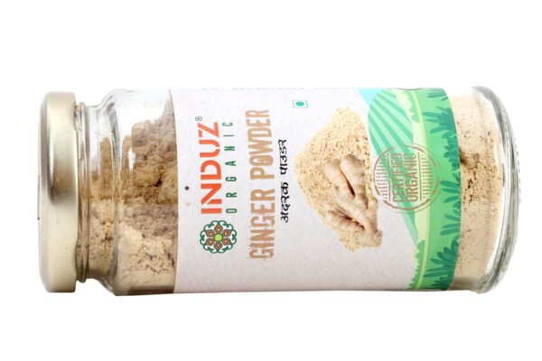 GINGER POWDER 100 GM (4)