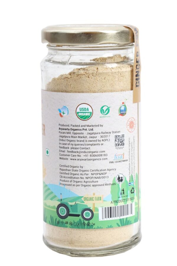 GINGER POWDER 100 GM (4)