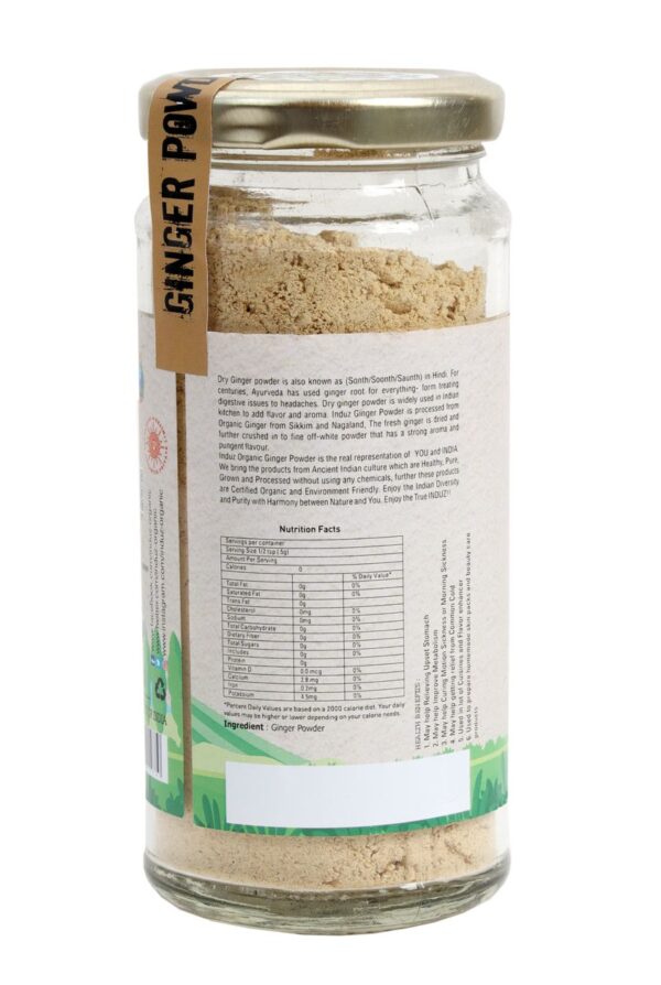 GINGER POWDER 100 GM (4)
