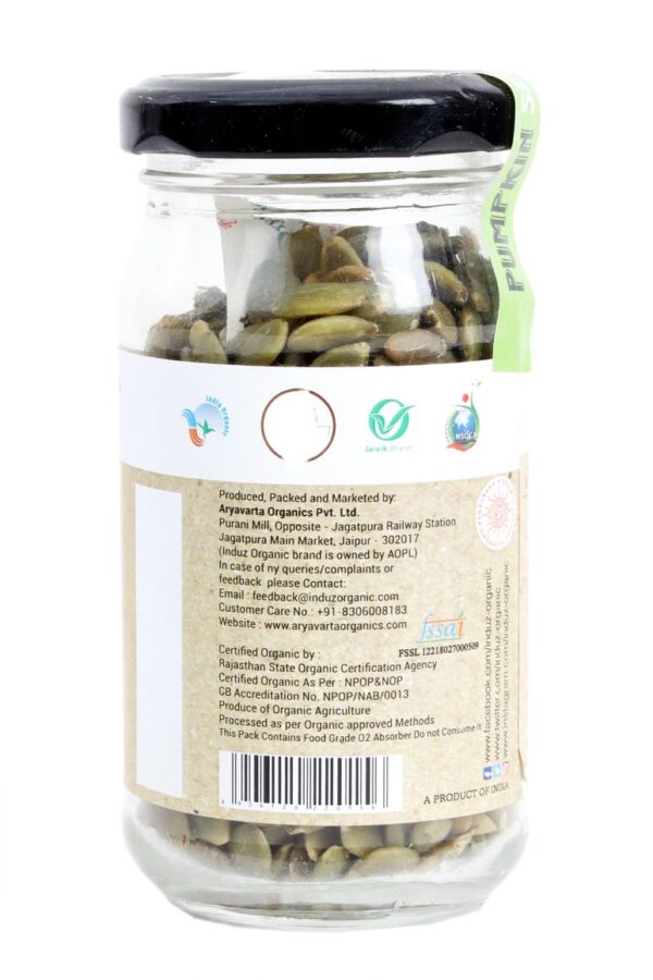 PUMPKIN SEEDS 100 GM (4)