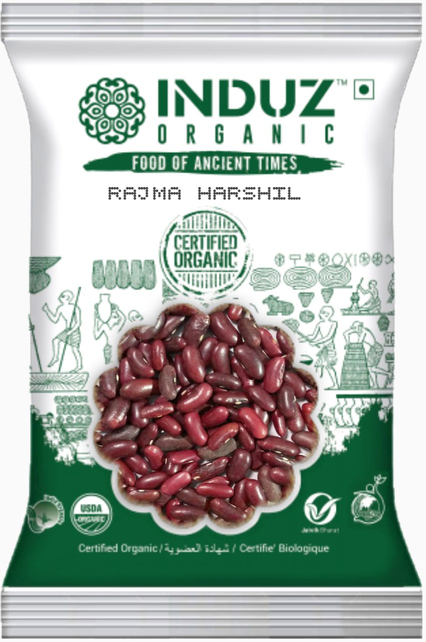 RAJMA HARSHIL 1