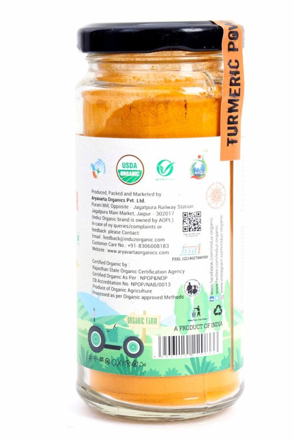TURMERIC POWDER 100 GM (3)