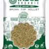 BROWN TOP MILLET 1